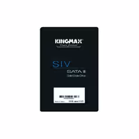 حافظه SSD کینگ مکس SIV32 ظرفیت 256 گیگابایت - آبتین مال