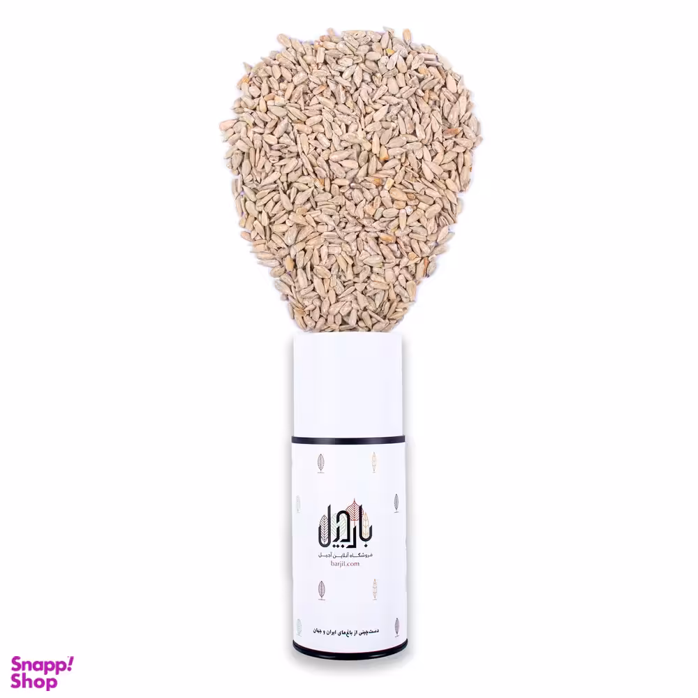 مغز تخمه آفتابگردان برشته نمکی بارجیل