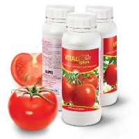 کود مایع داتیس ویتال پلاس کلسیم  حجم 1 لیتر 