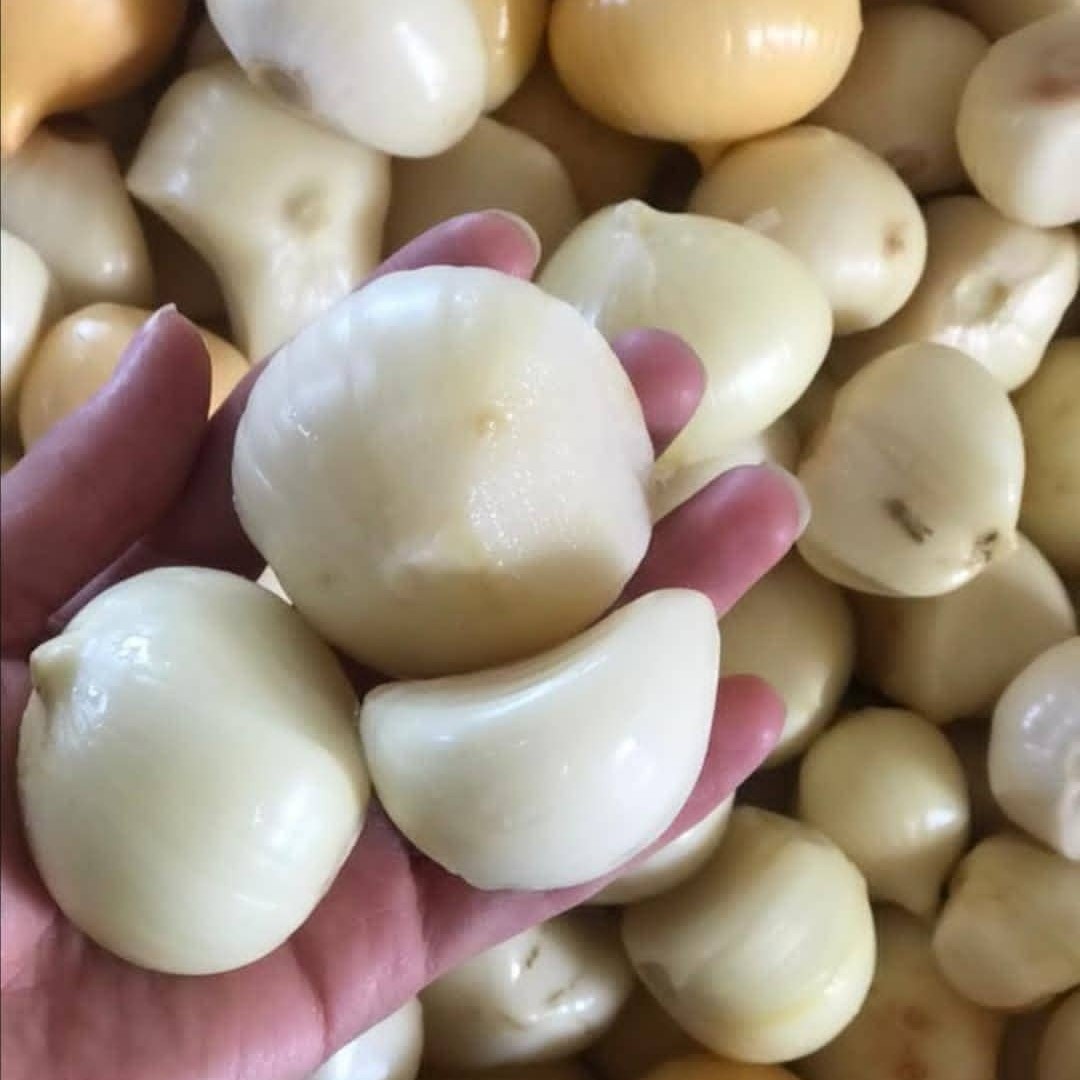 موسیر تازه و درجه یک همدان یک کیلو گرمی