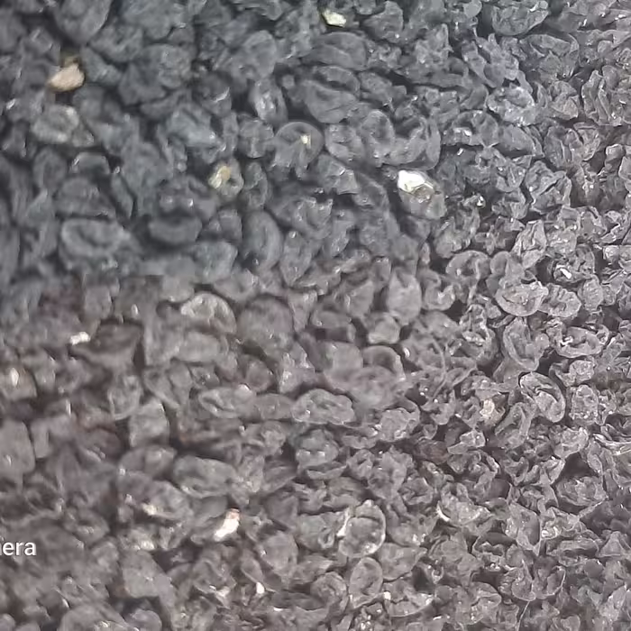 تخم تره