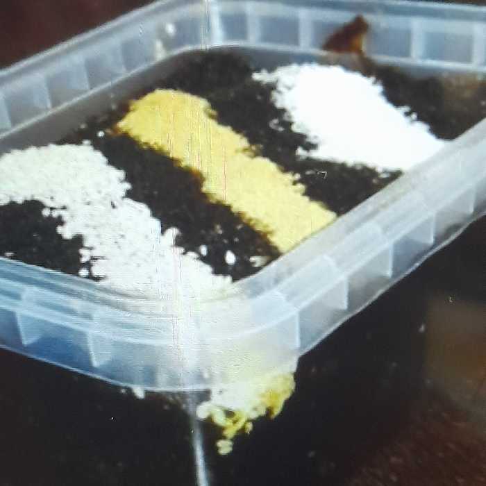 حلوای سیاه کره ای