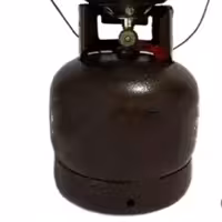 پیک نیک دو کیلویی 