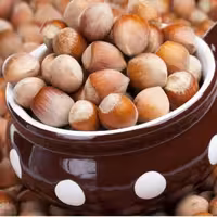 فندق گیلان امساله ، کیفیت تضمینی ، خشک شده و بصورت سنتی سورت شده ، دوم و کپک ندارد