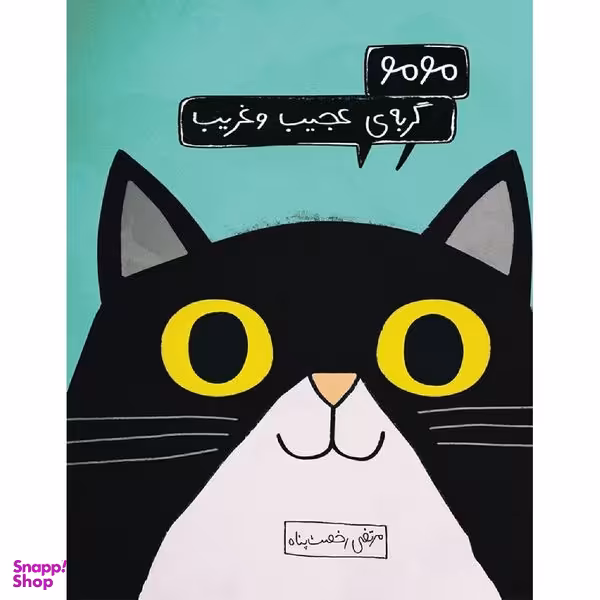 کتاب مومو گربه ی عجیب و غریب اثر مرتضی رخصت پناه نشر فاطمی