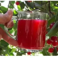 آب آلبالو صد در صد طبیعی 