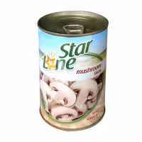 کنسرو قارچ اسلایس لون استار - 420  گرم
