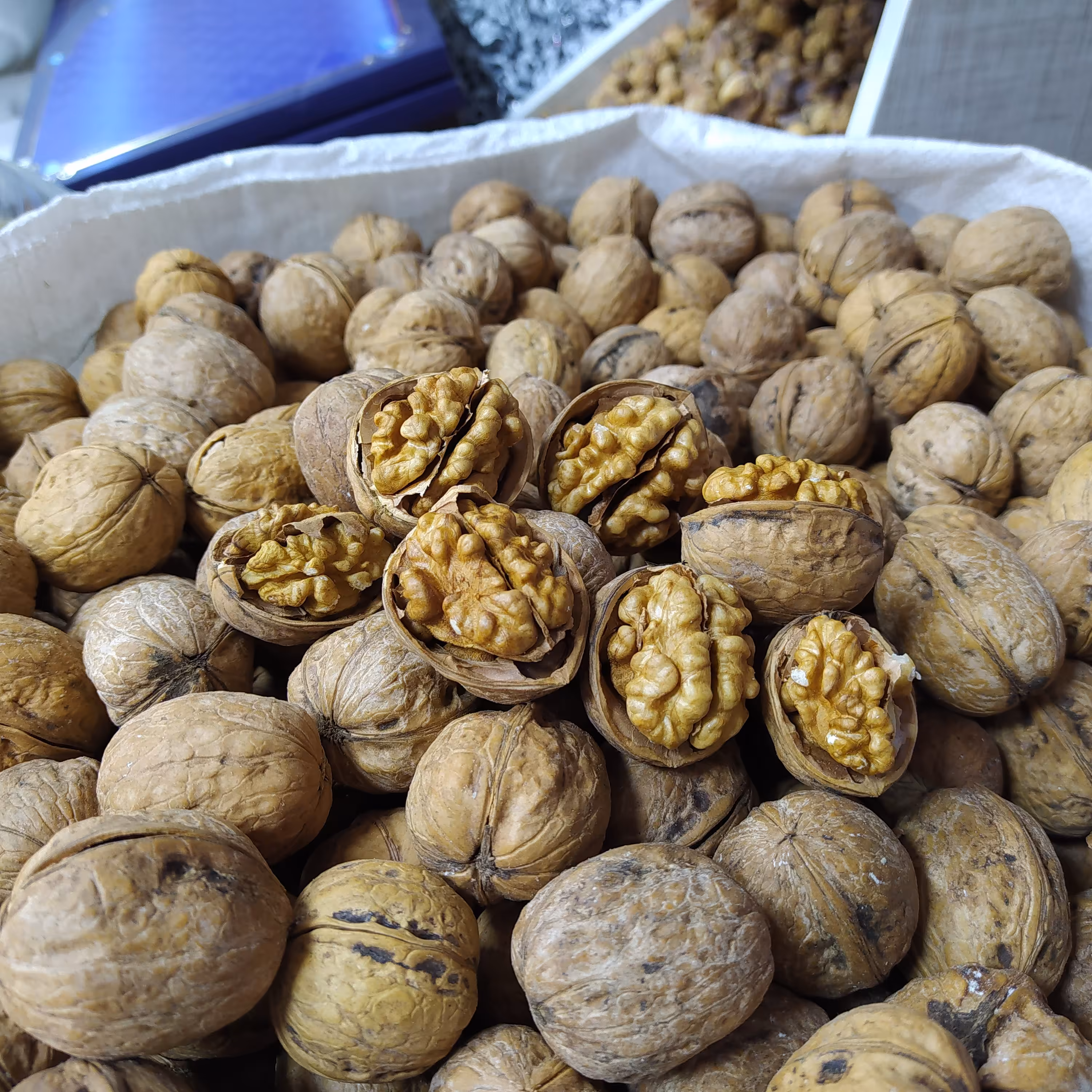 گردو کاغذی بار لوکس درشت بدون خرابی از هر کیلو گرم گردو 630گرم مغز خالص 