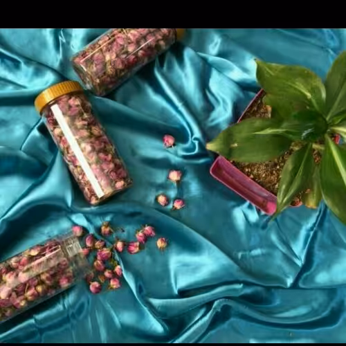 غنچه گل محمدی  امسالی اعلا لاله زار فوق العاده معطر