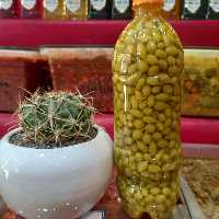 غور غوره  ،غوره شور ،غِور غوره