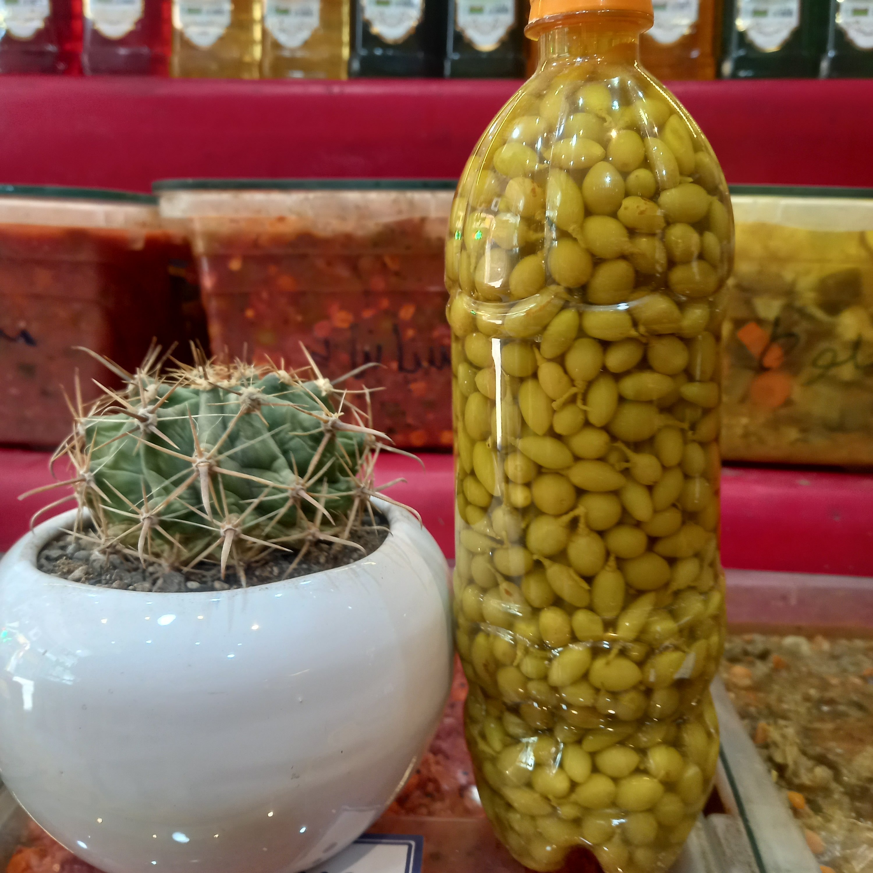 غور غوره ،غوره شور ،غِور غوره