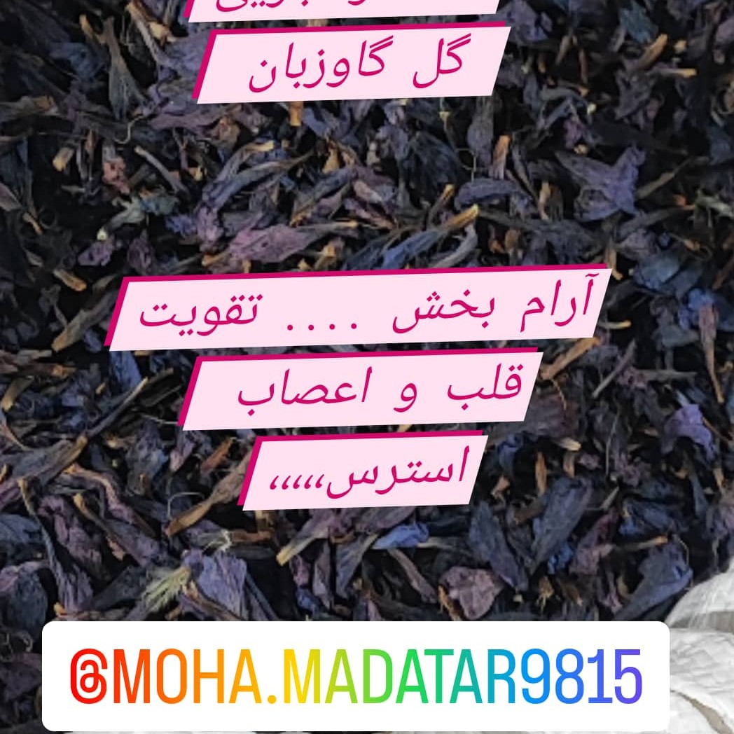 گل گاوزبان با بهترین کیفیت و امساله