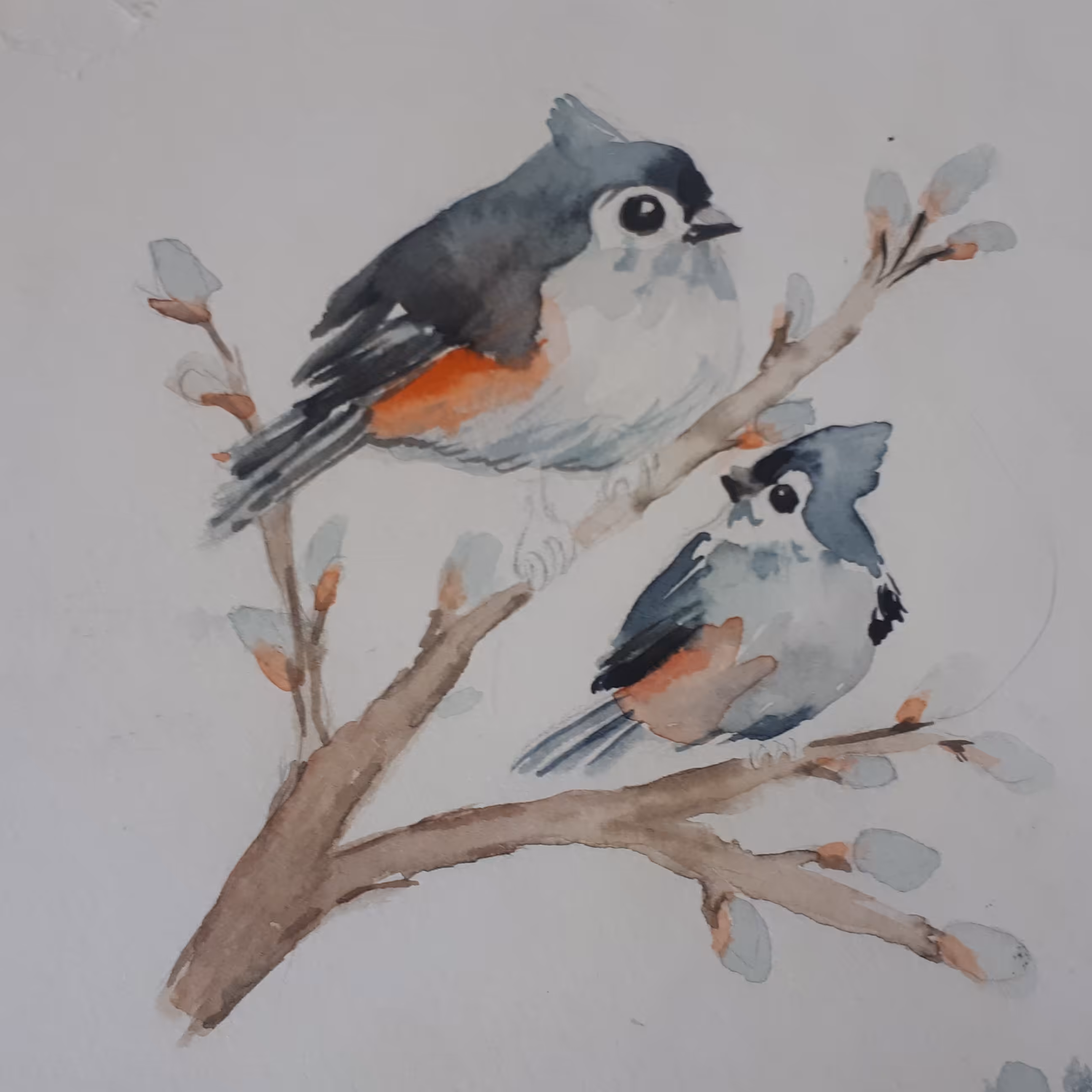 نقاشی ابرنگ دکوراتیو پرنده سایز 15 در15سانتی متری