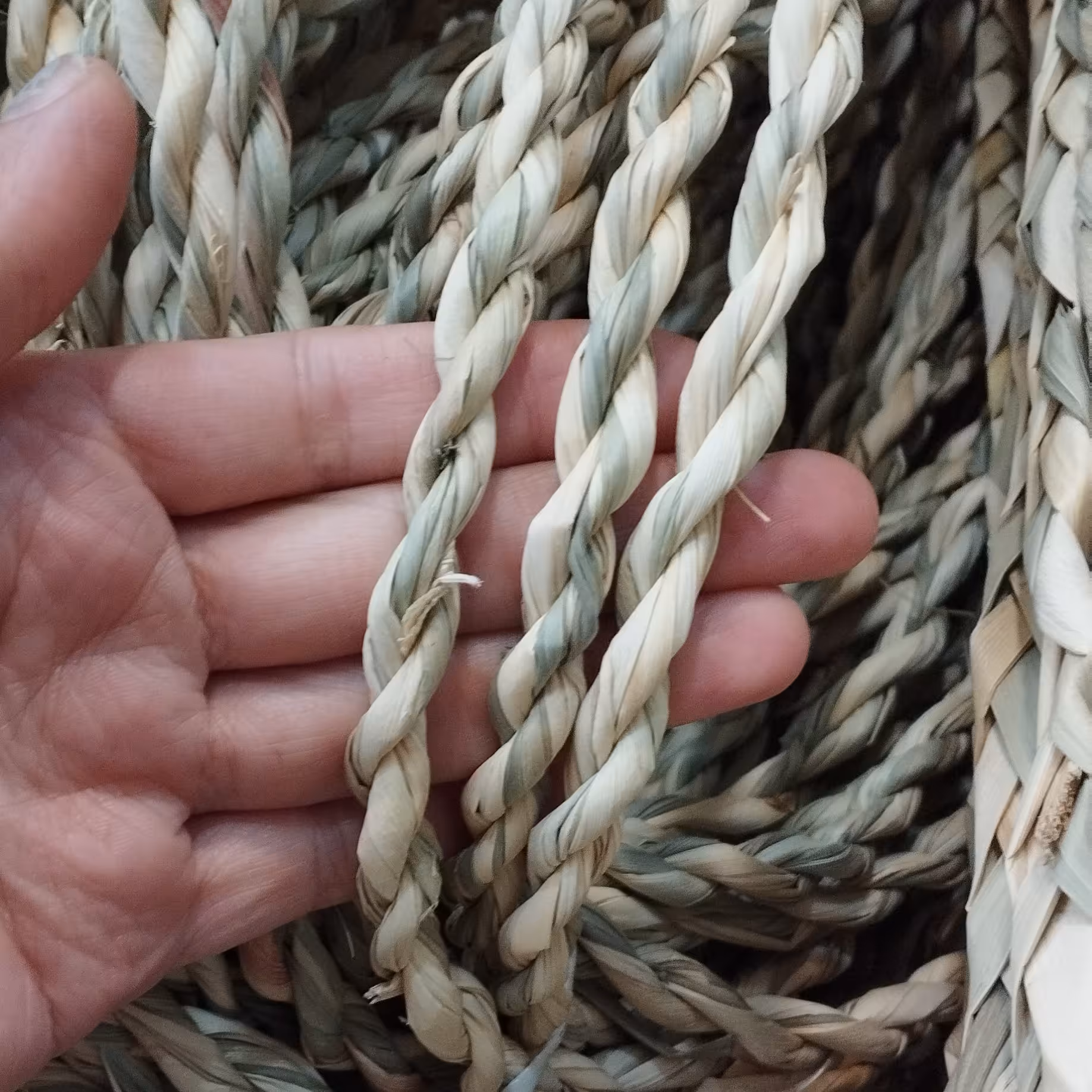 طناب حصیری 10 میل 70 متری