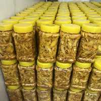 ترشی انبه میناب  خانگی( 800گرمی)