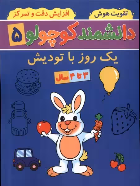 کتاب دانشمند کوچولو 5 منگنه ای پیام مشرق آنامید 1 روز با تودیش