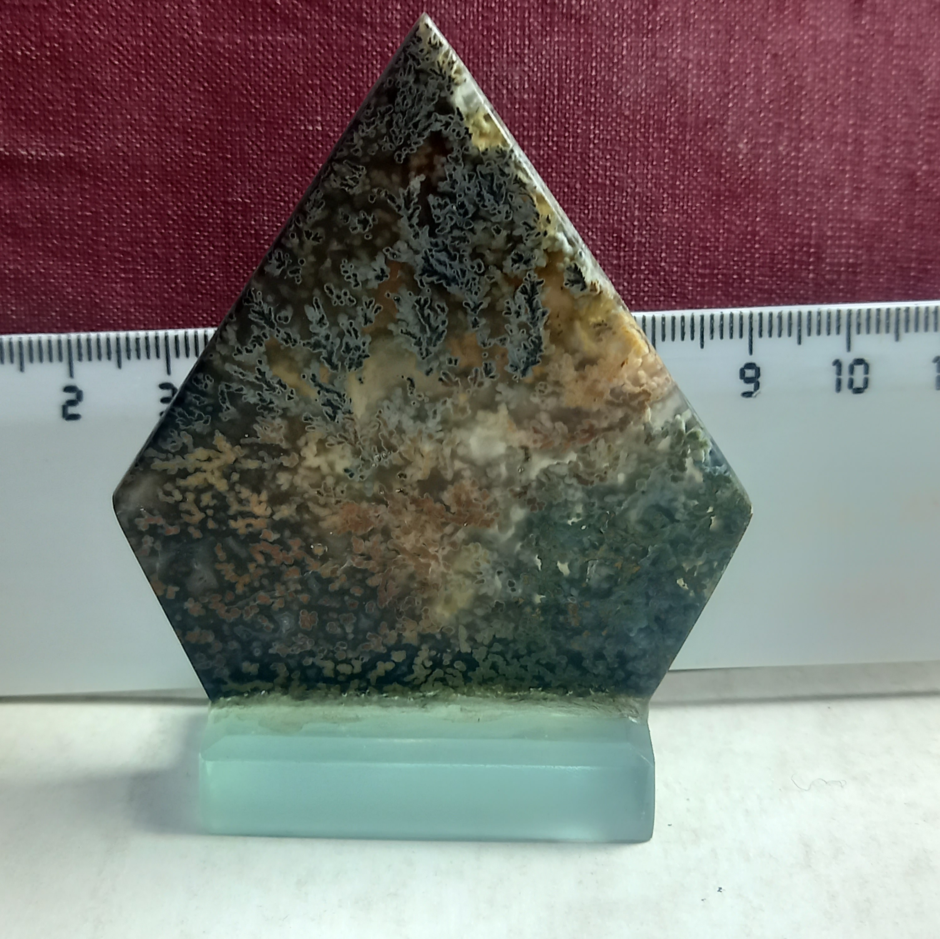 شجردریایی دکوری