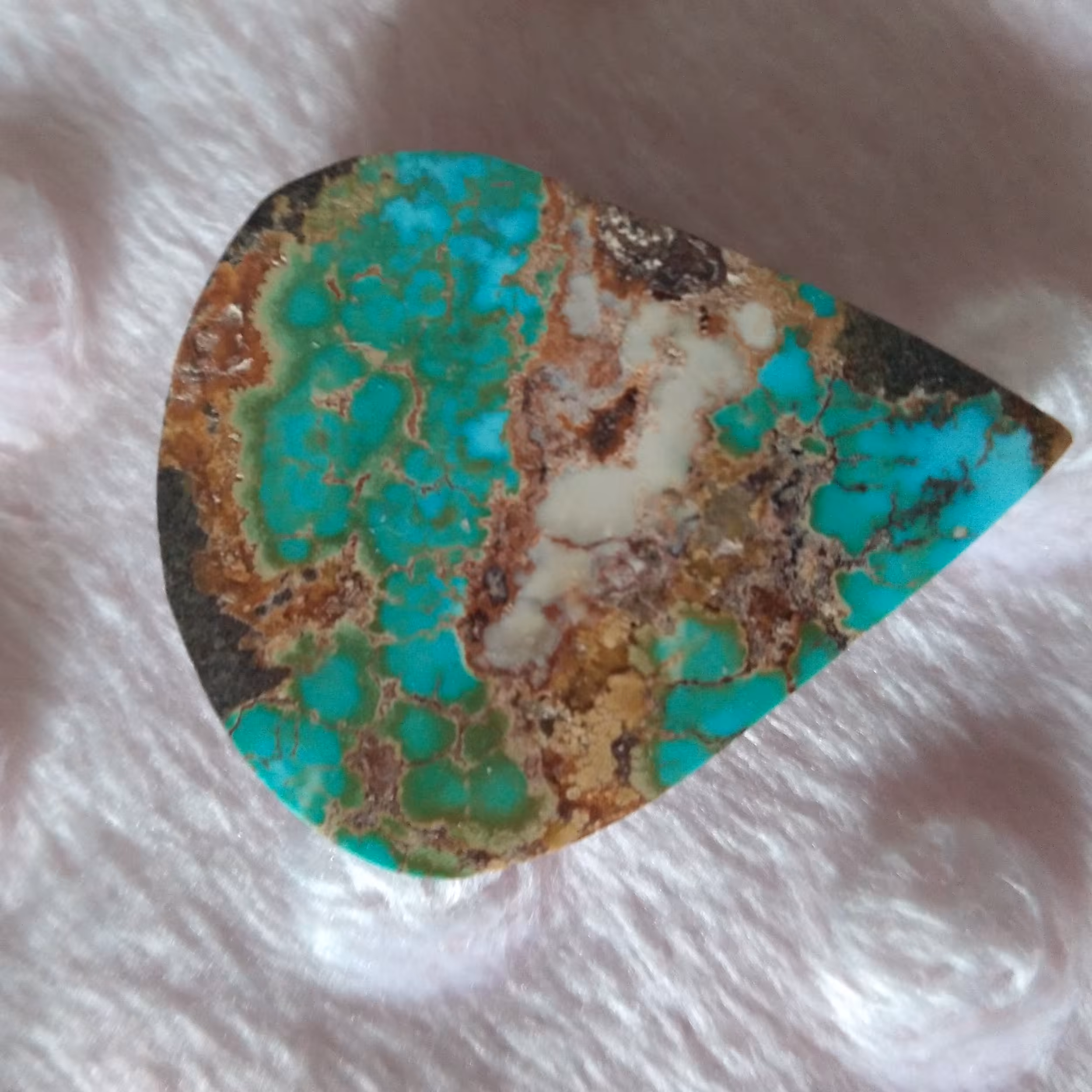 نگین فیروزه  شجر                                                              