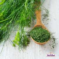شوید خشک250گرمی اعتماد(سبزی شوید) - حذف شده