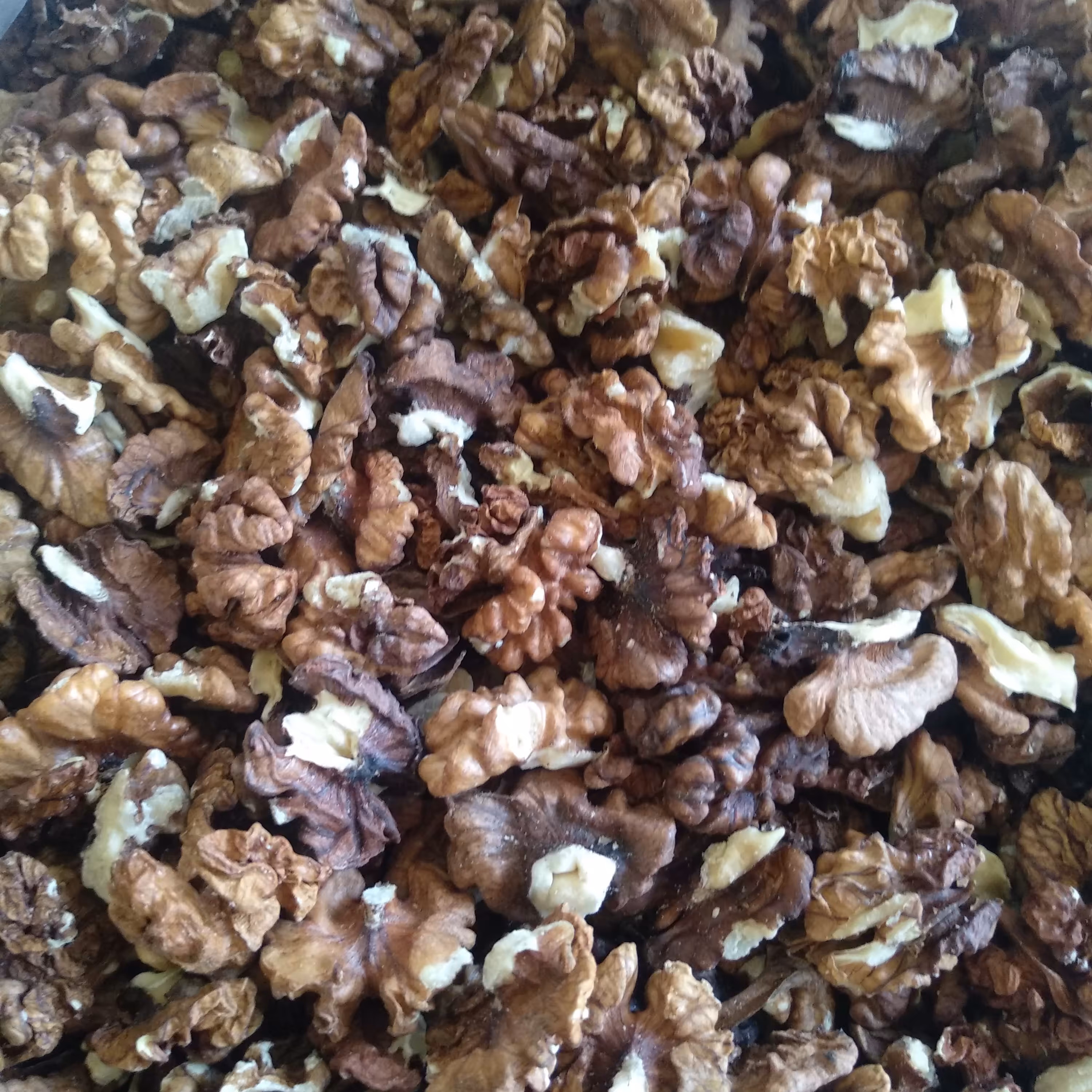 مغزگردو کار یا فسنجونی درجه سه