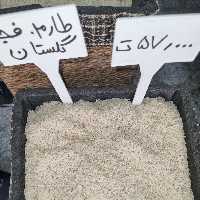 برنج طارم فجر گلستان  بدونه قاطی و با کیفیت به ضمانت پخت و پز و مرجوع بی قید و شرط