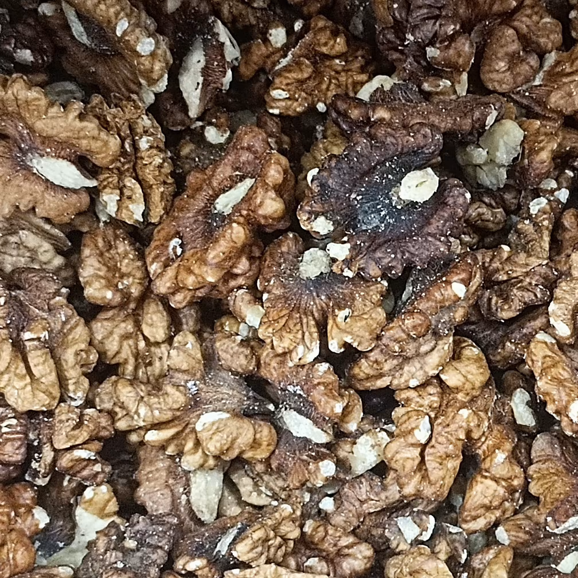 مغز گردو فسنجونی سوپر ممتاز کیلو 300