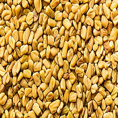 تخم شنبلیله (200گرمی)