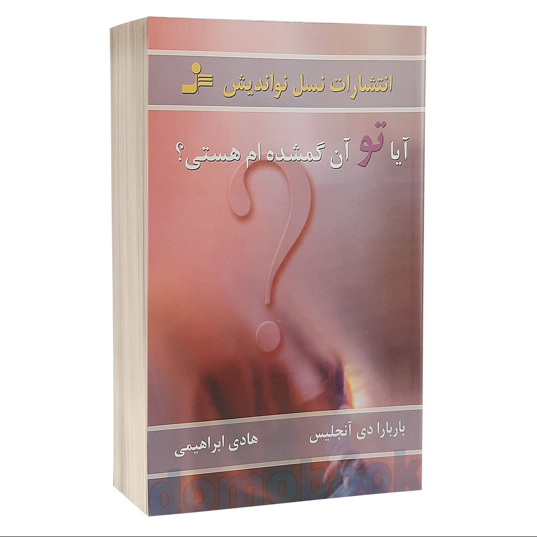 کتاب آیا تو آن گمشده ام هستی اثر باربارا دی آنجلیس انتشارات نسل نواندیش