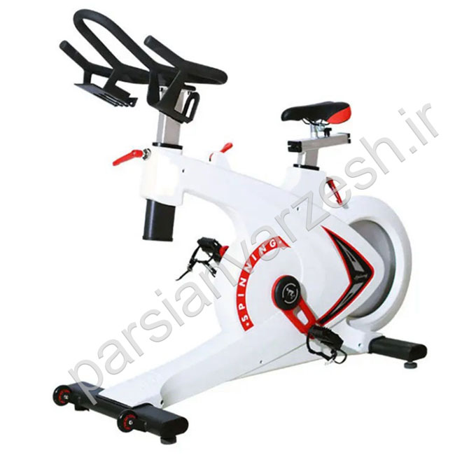 دوچرخه ثابت اسپینینگ EcoFit سفید مدل EF007