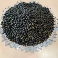 ماش سیاه .- قره ماش 