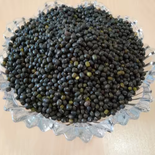 ماش سیاه .- قره ماش 