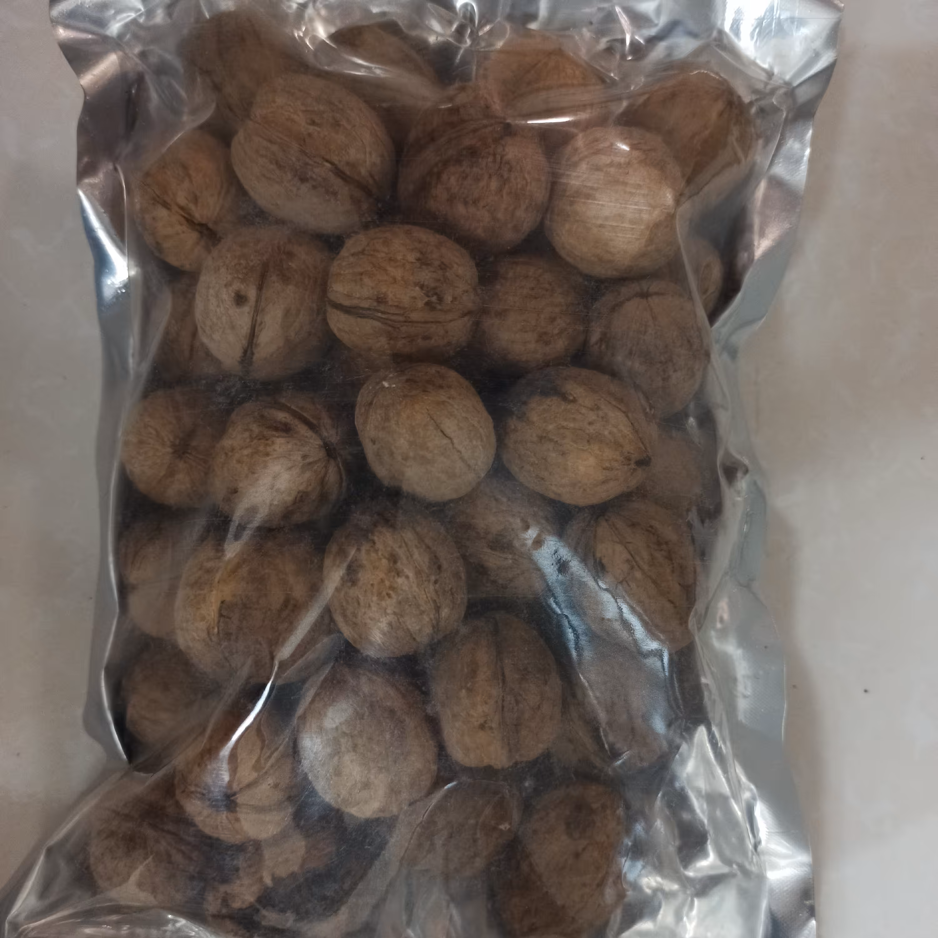 گردو ایرانی