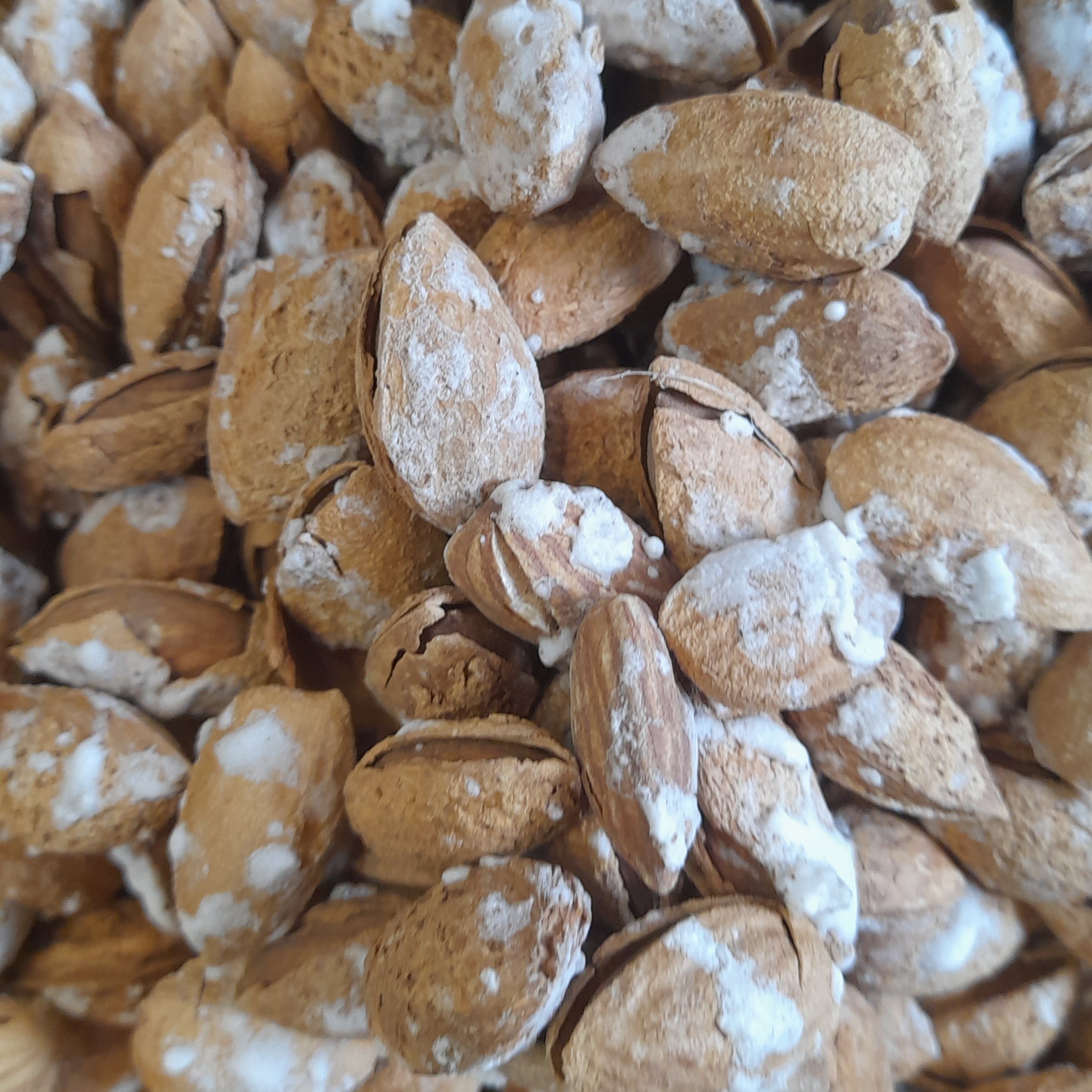 بادام شورمنقا خارجی(500 گرمی)