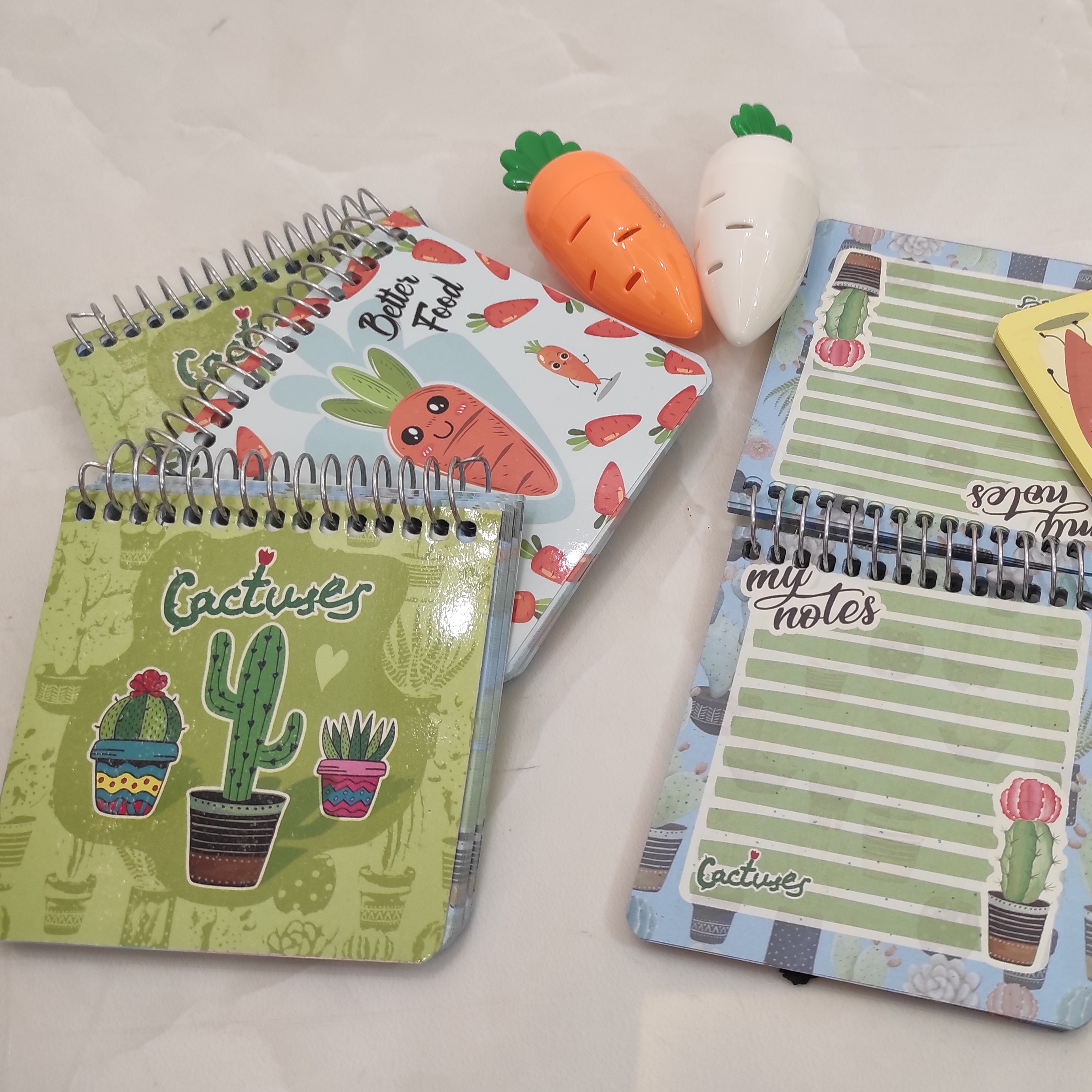 دفترچه یادداشت فانتزی کاکتوسی و هویجی