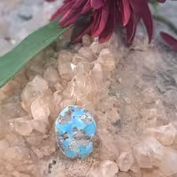 فیروزه نیشابور کد 1618