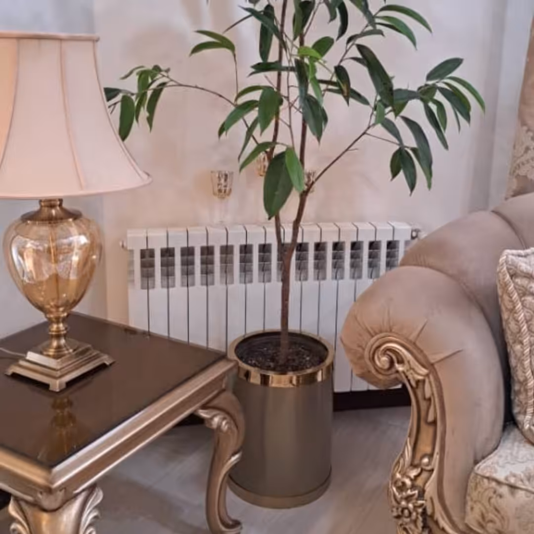 گلدان ویژه کارن کنار سالنی فلزی رنگ بژ طلایی بسیار خاص و زیبا 