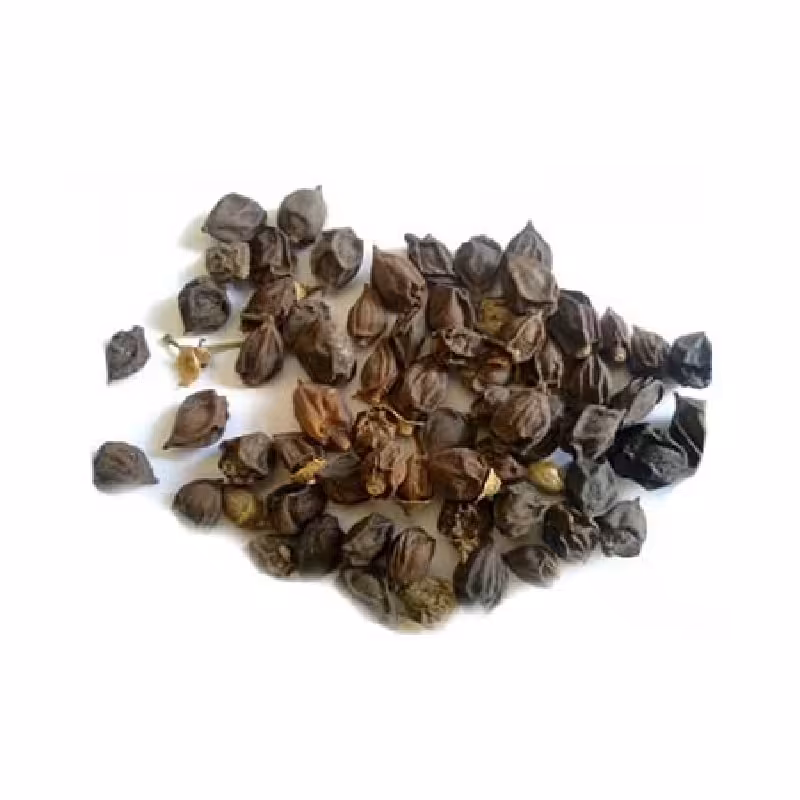 سه پستان ریز درجه 1  250گرم