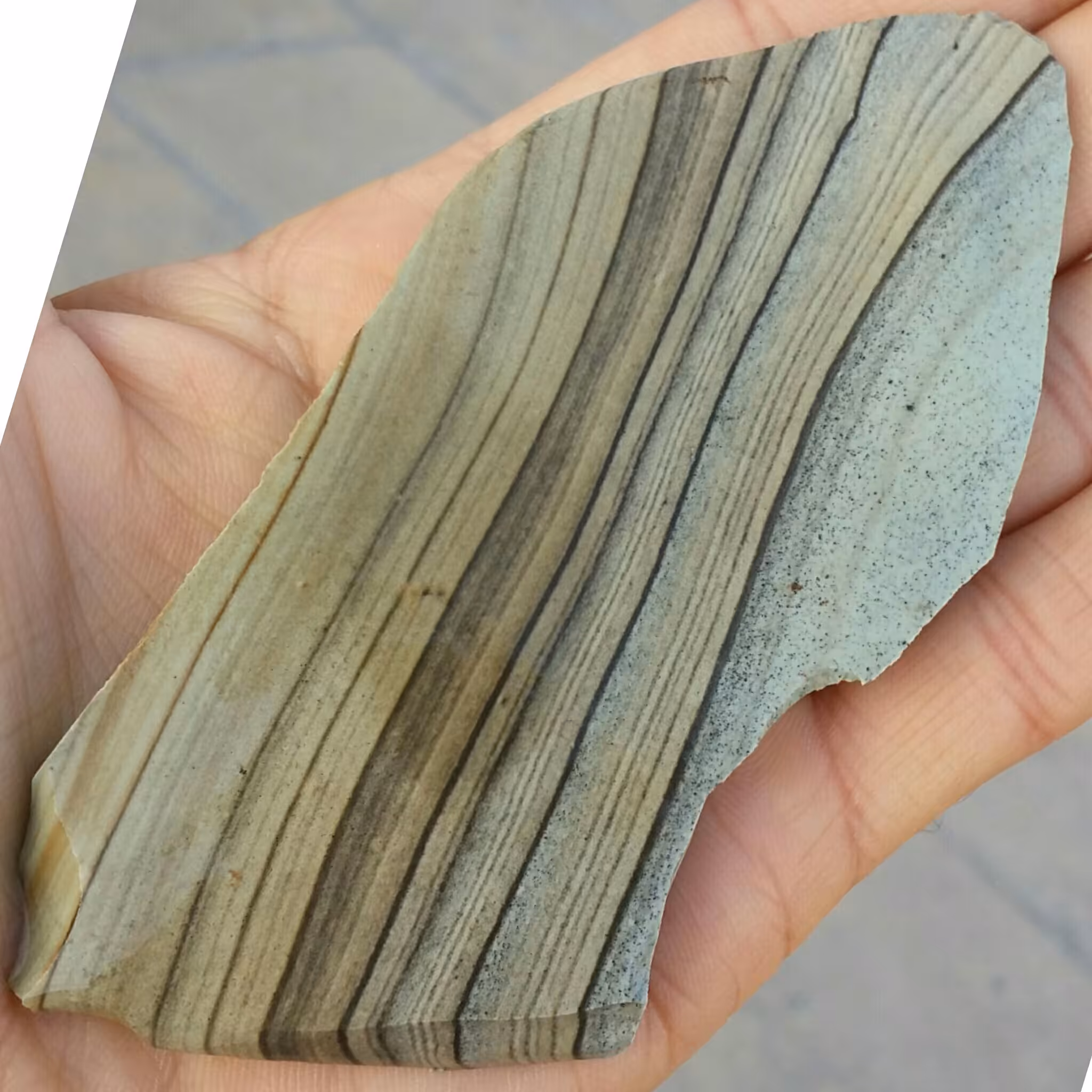 سنگ راف تخت جاسپر منظره بسیار کمیاب خاص 100 در 100 طبیعی شاهکار خلقت
تصویر از  دو طرف نمونه بینهایت زیبا
