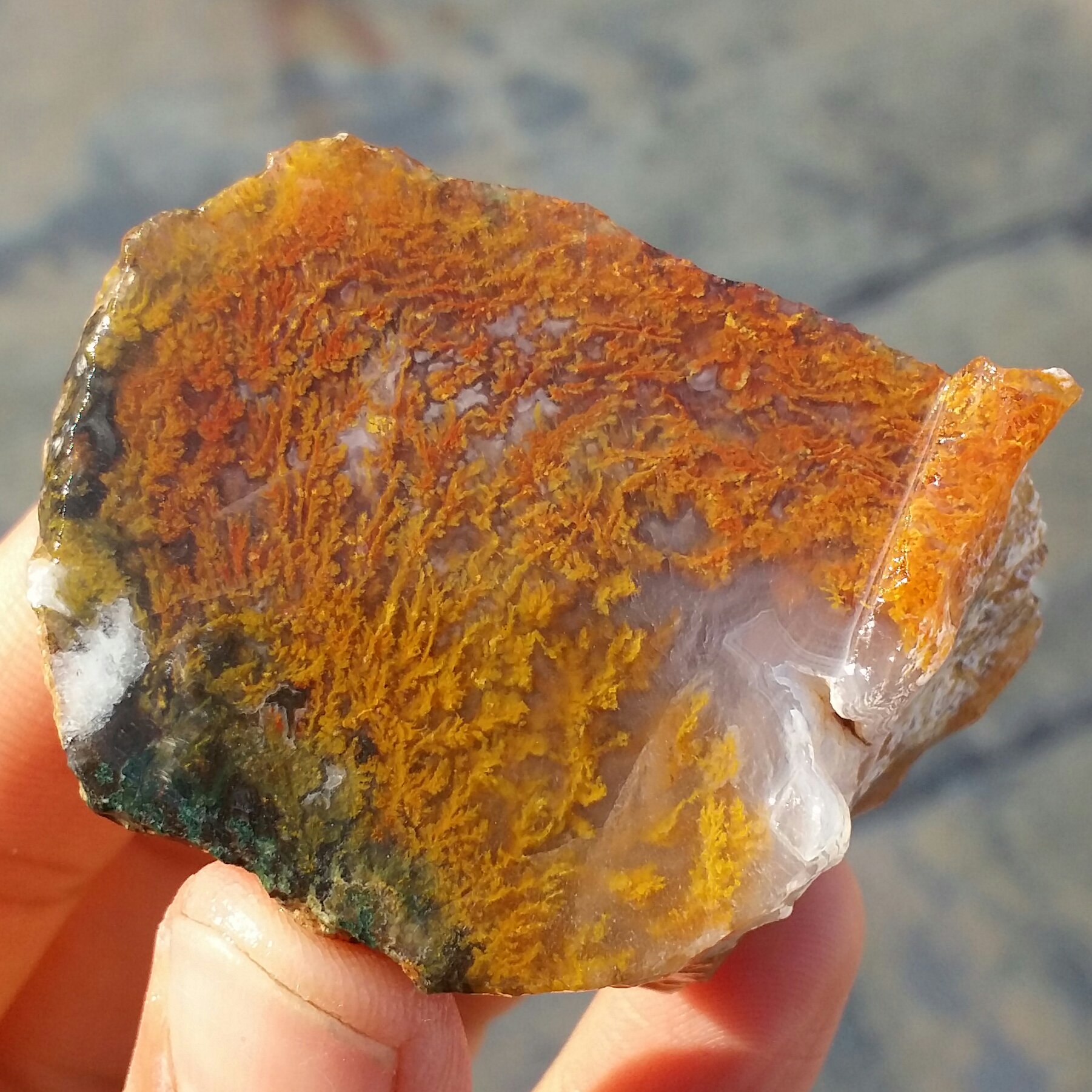 اسلایس سنگ راف عقیق شجر منظره پاییزی بسیار دیدنی شجر واضح شاهکار خلقت کاملا طبیعی
تابلو نقاشی طبیعی کد 8643