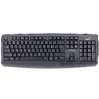 کیبورد باسیم جنیوس مدل KB-110X