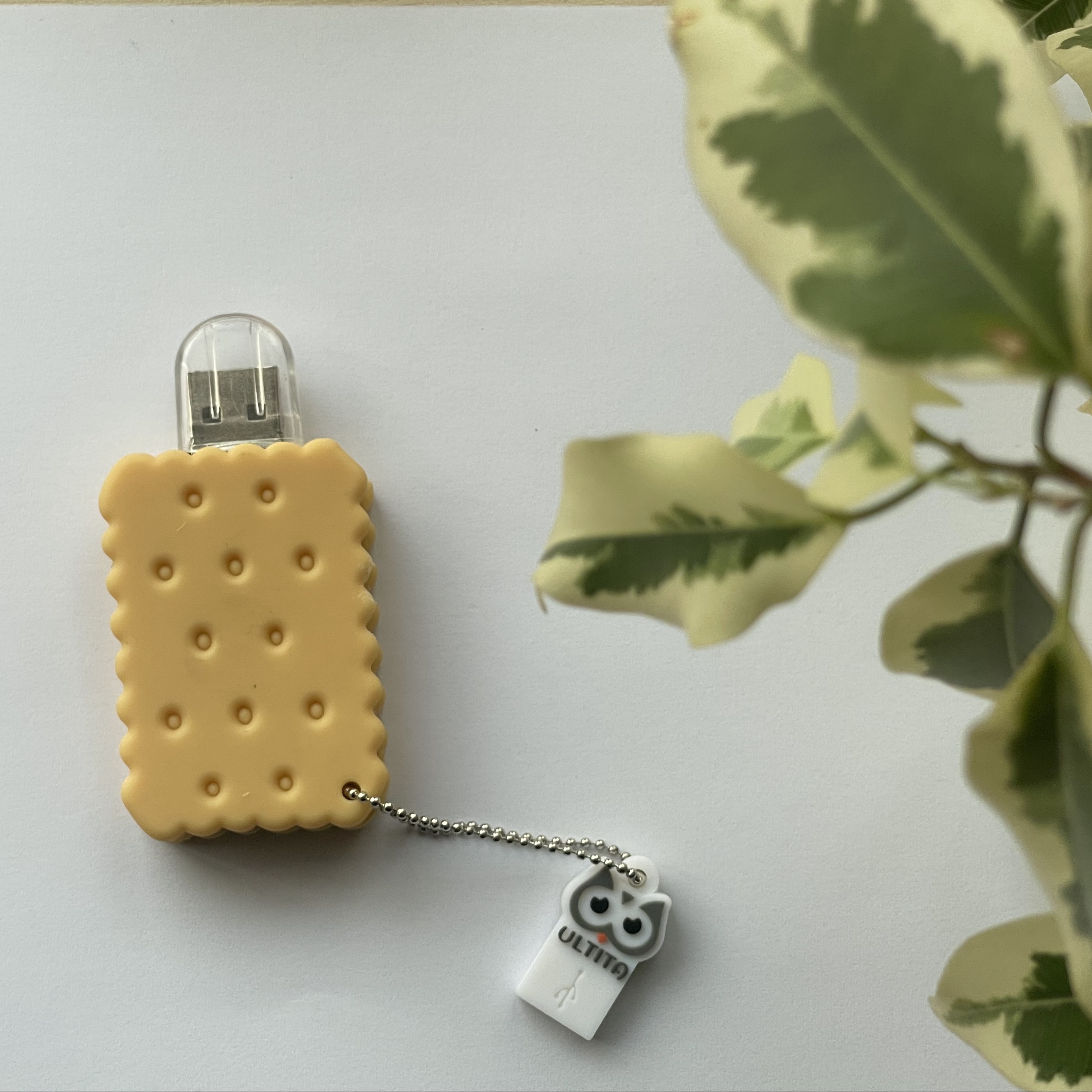 فلش بیسکوییت 128 گیگ اولتیتا با گارانتی 