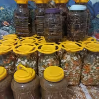 ترشی خانگی هفته بیجار لیته و بادمجان 