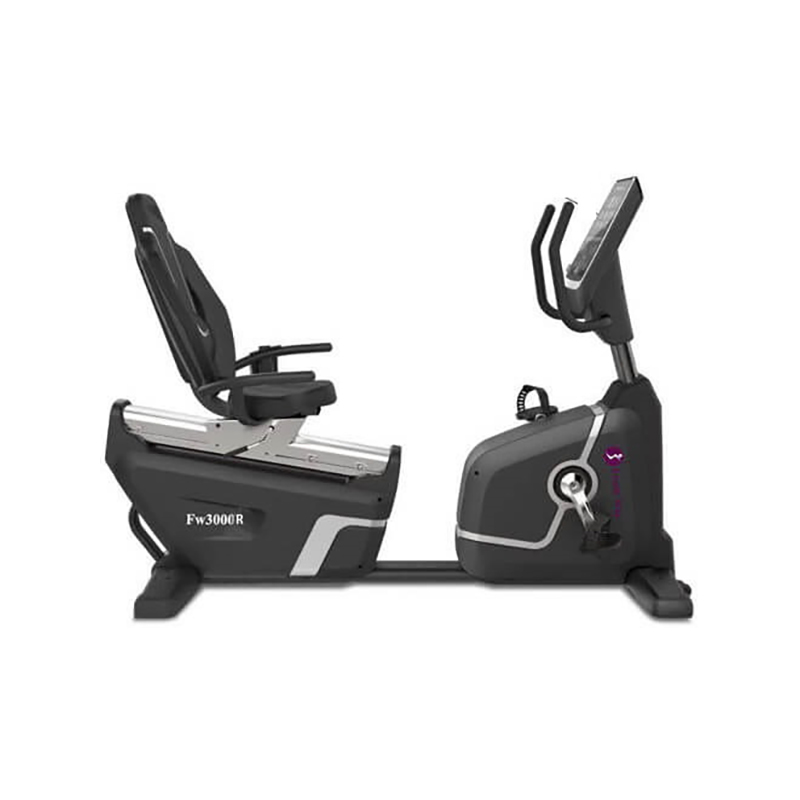 دوچرخه ثابت باشگاهی پشتی دار فرش وی مدل FW3000R