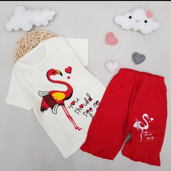 تیشرت وشلوارک فلامینگو(سایز40)