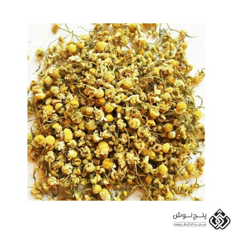 بابونه شیرازی