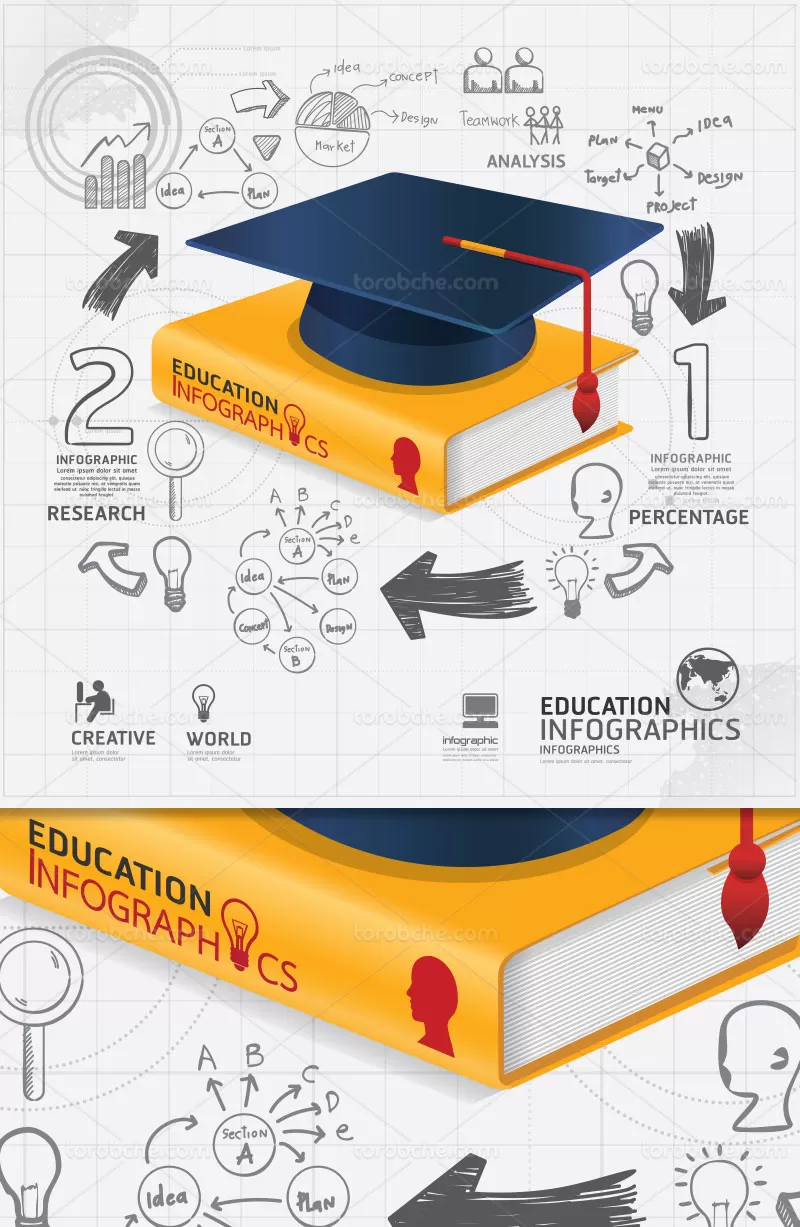 وکتور اینفوگرافیک آموزشی انتزاعی | گرافیک با طعم تربچه