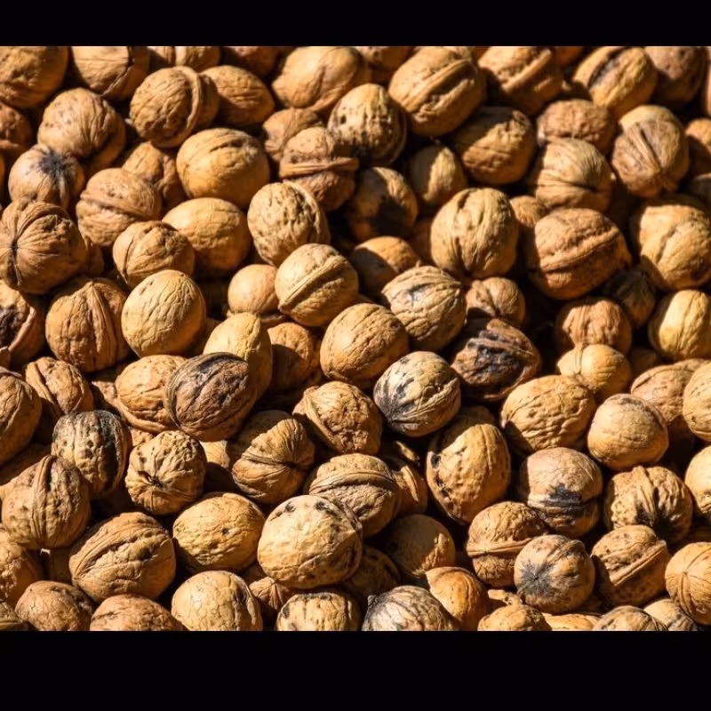 گردو درجه1(1کیلو گرم)