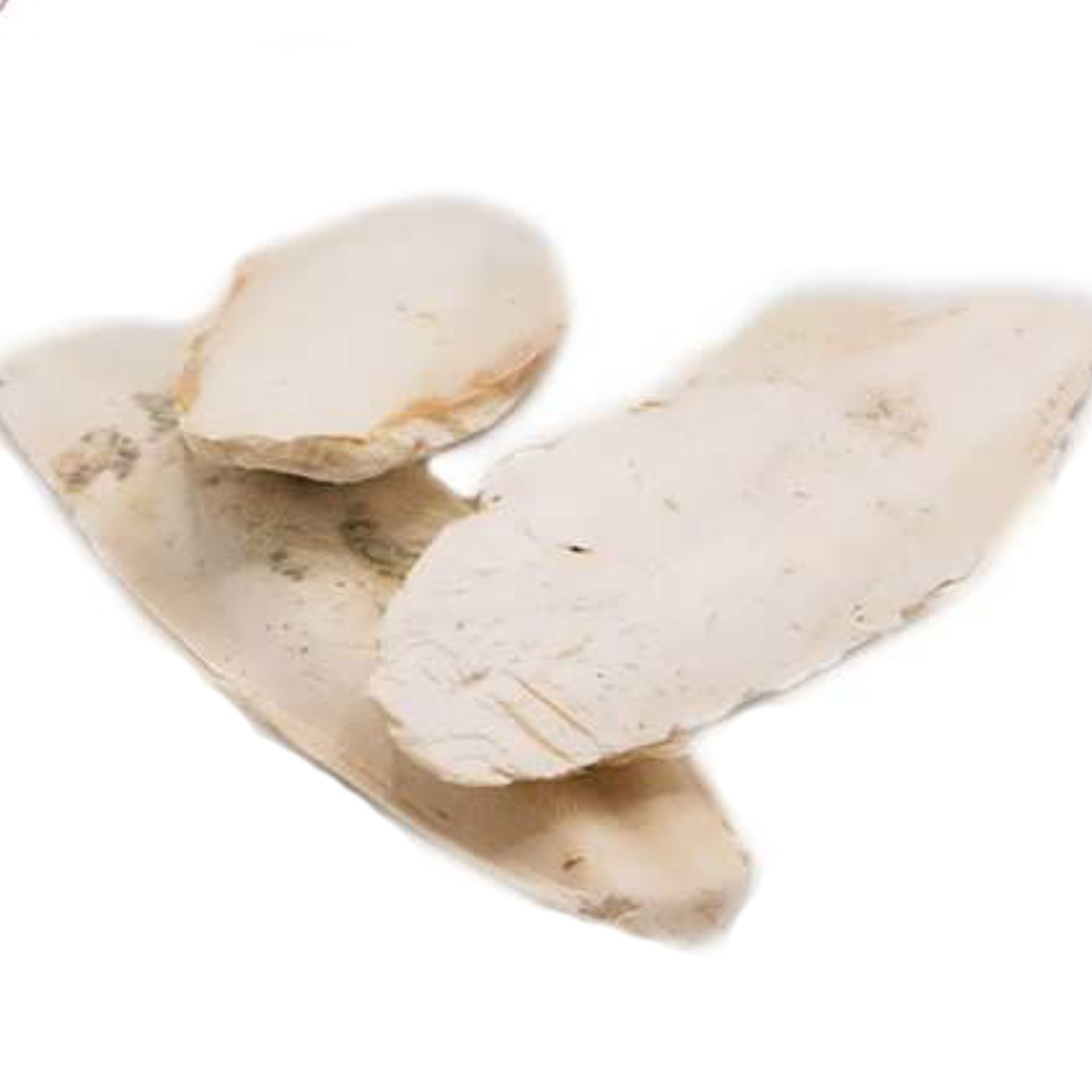 کف دریا ( 100 گرمی ) عطاری نیکو طبیب
