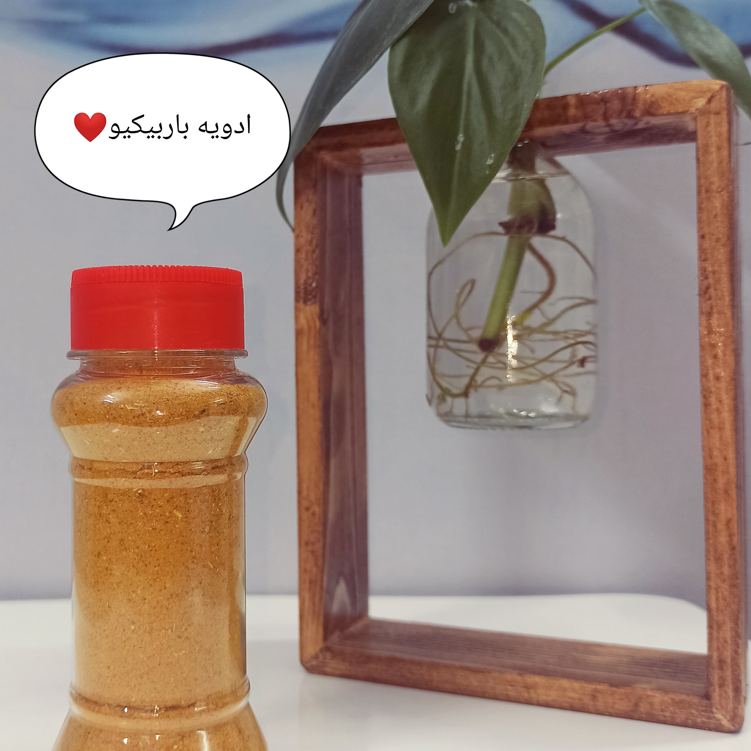 ادویه فست فود و باربیکیو100گرمی 