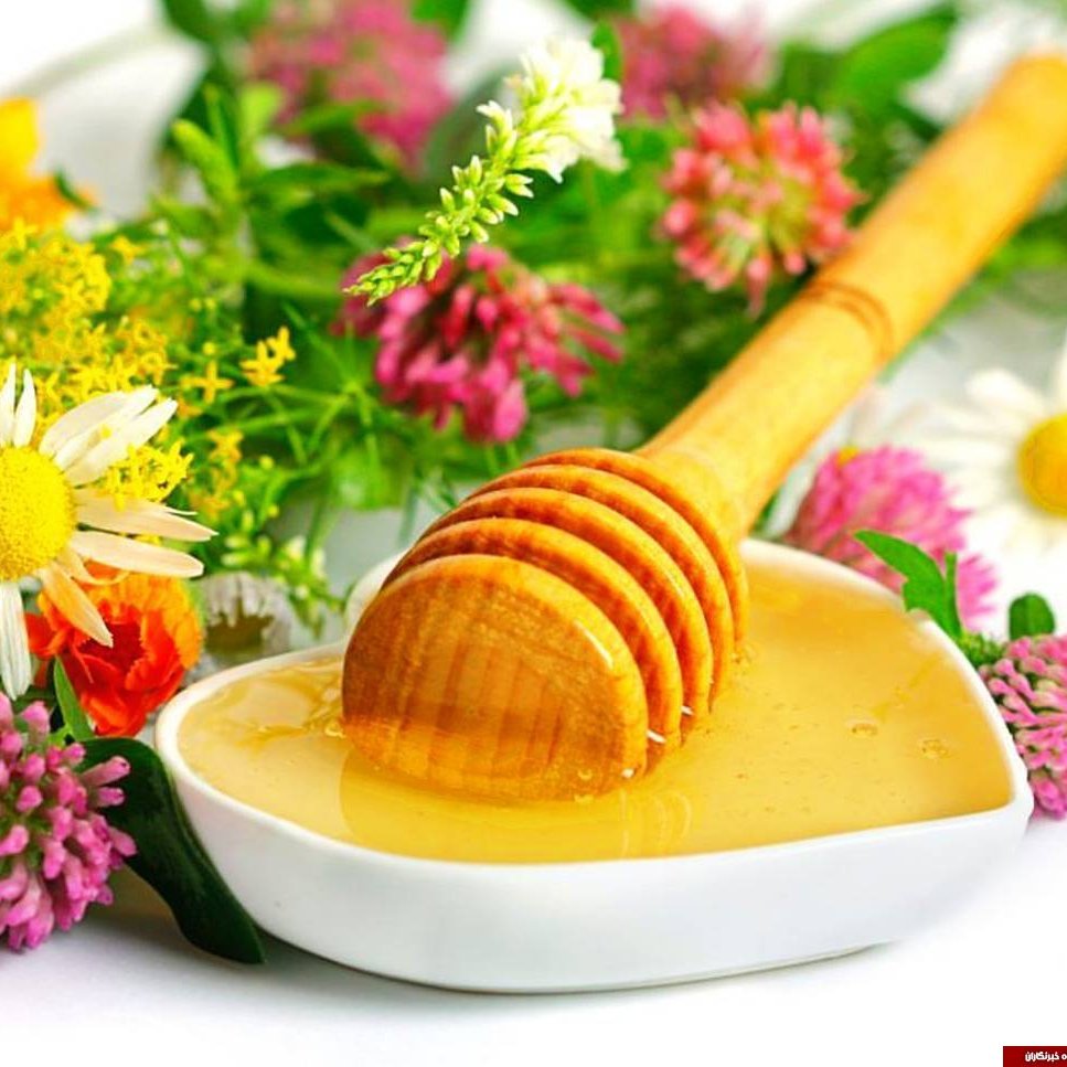 عسل طبیعی بهار نارنج